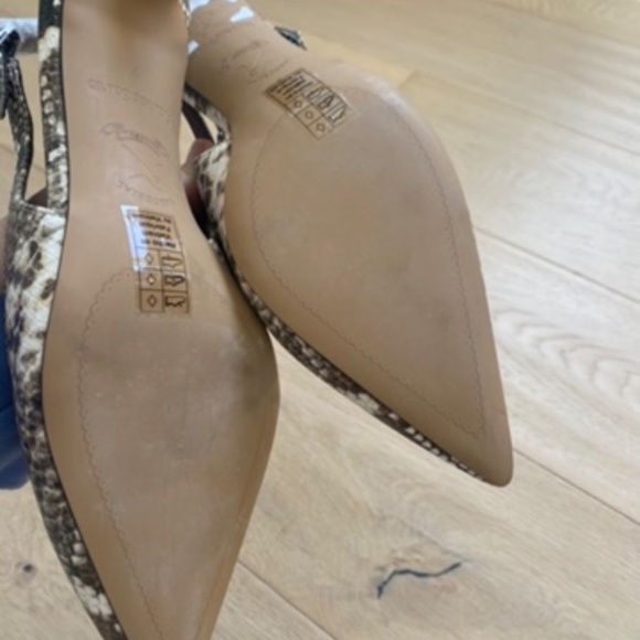 Franco Sarto - Picture 11 of 11